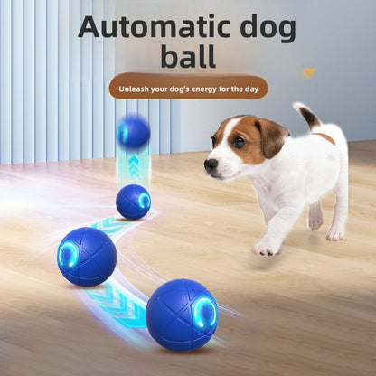 Bounce Buddy 2.0- Automatic Rolling Ball Toy – Rechargeable, Bite-Resistant