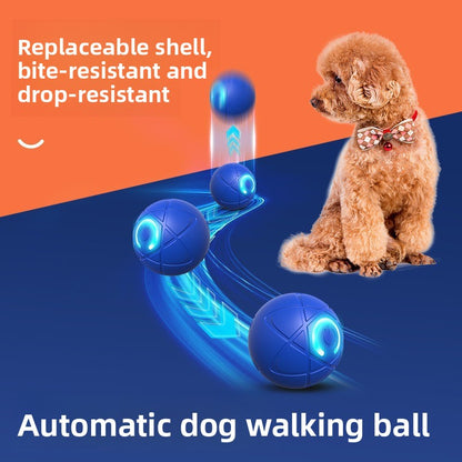Bounce Buddy 2.0- Automatic Rolling Ball Toy – Rechargeable, Bite-Resistant